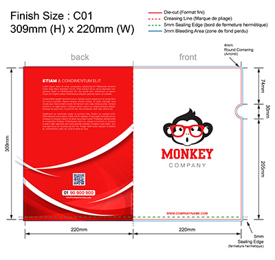 template ROUGE 01 - Pochette plastique couleur personnalisée 